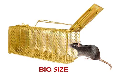 Bridge2shopping Rat Trap Cage 115 Inches For Big And Middle Size Rats