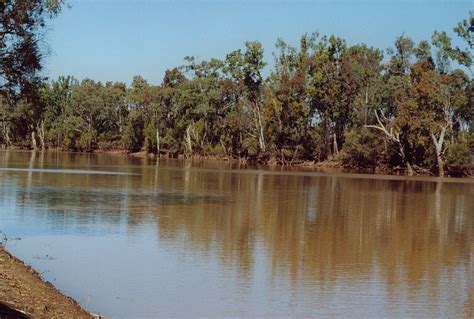 GARY COLQUHOUN - TRAVEL - 2002 TRIP - RUBYVALE > EMERALD > SPRINGSURE > ROLLESTON > BAUHINIA ...