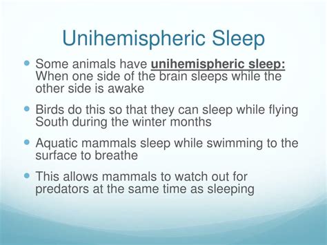 Ppt Physiological Functions Of Sleep Powerpoint Presentation Free