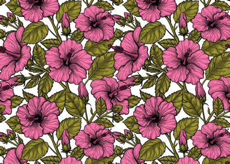 Pink Hibiscus Flowers Wallpaper - Buy Online | Happywall