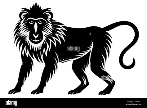 Baboon Silhouette Vector Illustration Stock Vector Image And Art Alamy