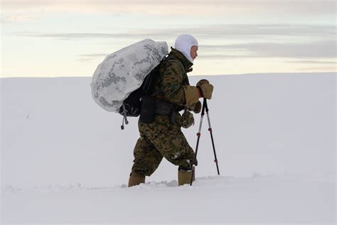 Dvids Images D Reconnaissance Battalion Marines Conduct Cold