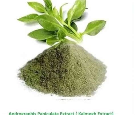 Kalmegh Andrographis Paniculata Extract At Rs 725 Kg Dry Extracts In