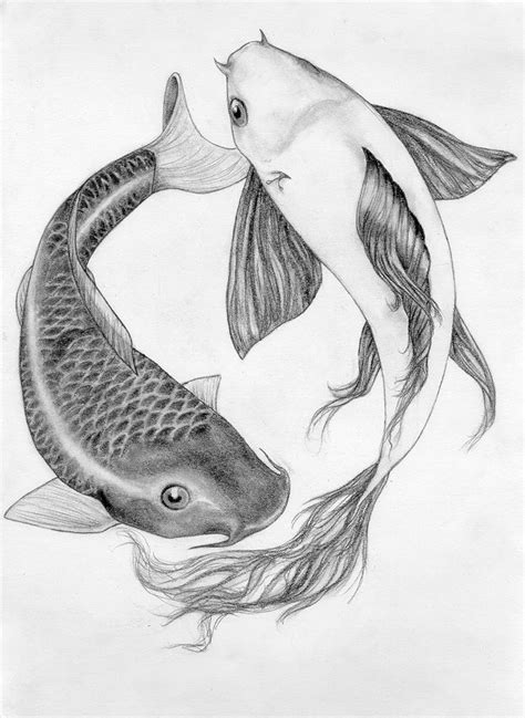 Koi Fish Drawing Fish Drawings Pencil Drawings Art Drawings Koi Art