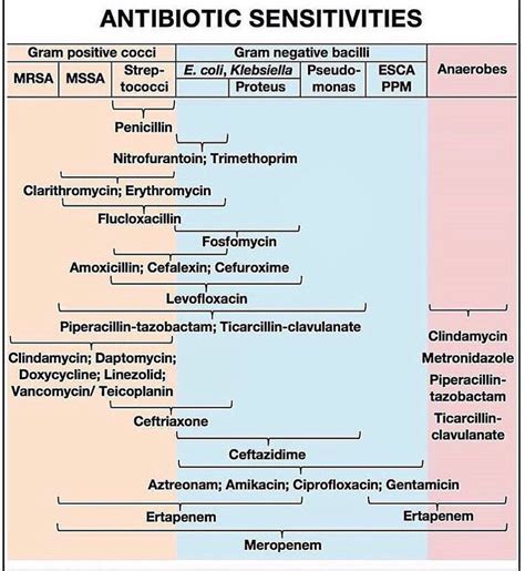 The Innovation Medicine On Twitter Antibiotic Sensitivities H T