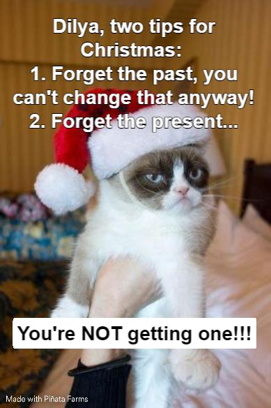 Grumpy Cat Christmas Memes - Piñata Farms - The best meme generator and ...