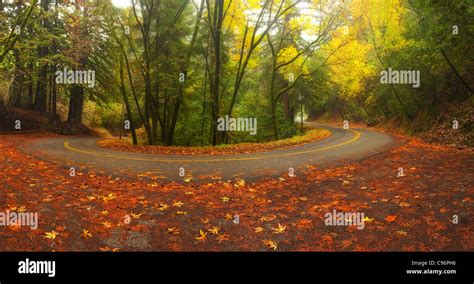 Old La Honda Road Hi Res Stock Photography And Images Alamy