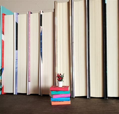 Mini ACOTAR Bookshelf Decor - Etsy