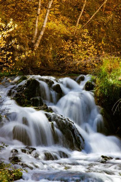 260 Black Hills Fall Stock Photos Pictures And Royalty Free Images Istock