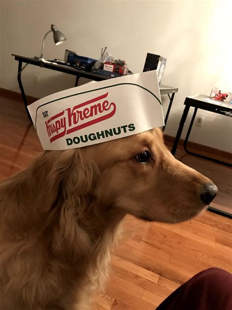 Best Glazed Doughnut Images On Pholder Food Food Porn And Krispykreme