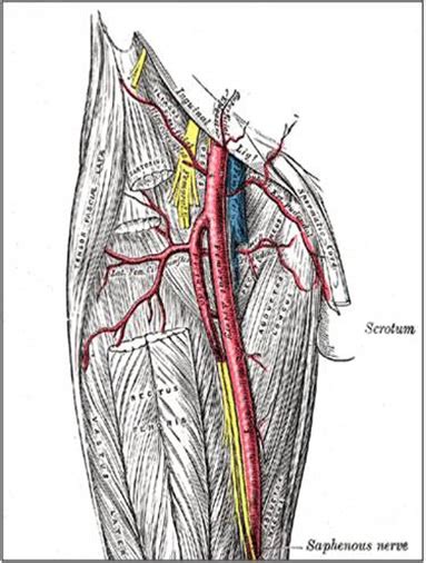 Femoralbrachialradial Access Ctsnet