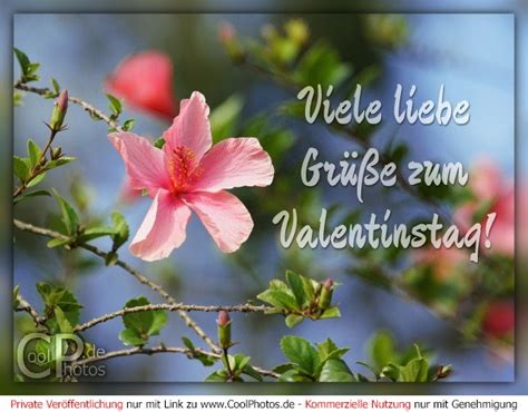 Coolphotos De Valentinstag Viele Liebe Grüße Zum Valentinstag