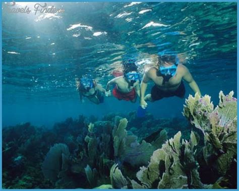 Great Snorkeling Trips in the Dominican Republic - TravelsFinders.Com