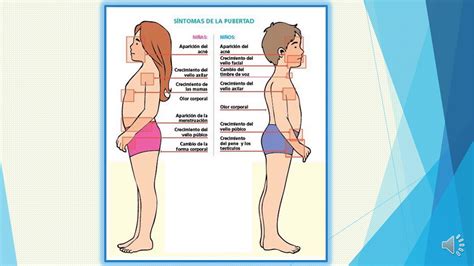 Diferencias físicas varones y mujeres YouTube