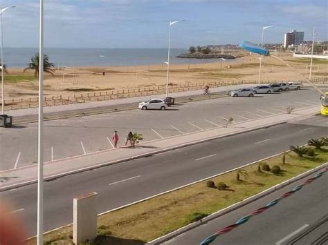 Mulher flagrada tentando furtar árvore de canteiro de praia de