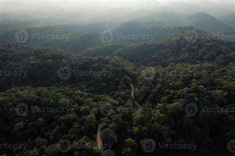 high angle tropical forest and road into the forest 6583511 Stock Photo at Vecteezy