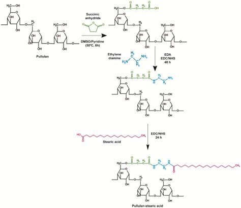 Schematic Representation Of The Carboxylic And Amino Functional Group Download Scientific