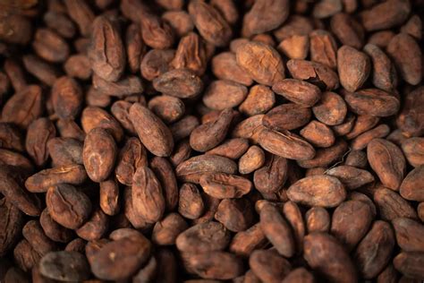 El Cacao Alcanza R Cord Por Escasez En La Oferta Amenaza Con Encarecer