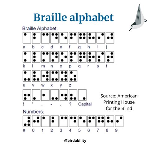 Quick Facts About Braille — Birdability