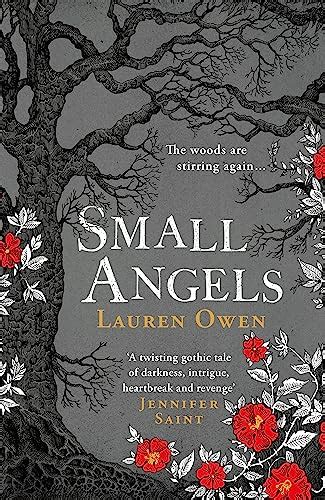 Small Angels A Twisting Gothic Tale Of Darkness Intrigue Heartbreak