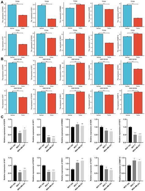 Clinical Significance And Immune Characteristics Analysis Of MiR 221 3p