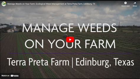 New Sare Video Ecological Weed Management At Terra Preta Farm Sare