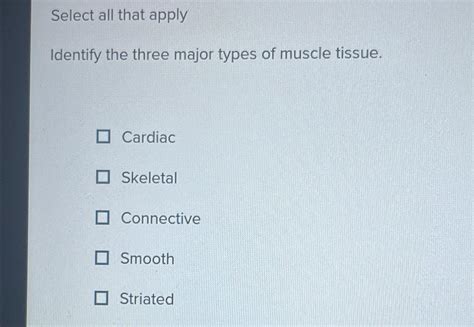 Solved Select All That Applyidentify The Three Major Types Chegg