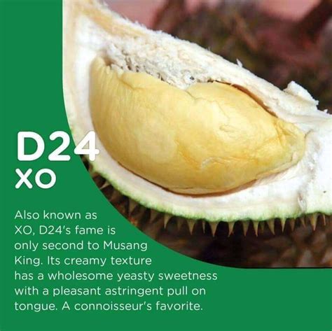 Types Of Durian In Singapore And Tips For Choosing Fresh Ones