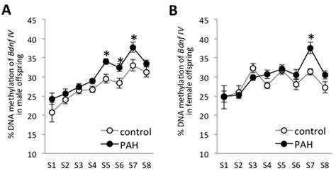 Prenatal Pah Exposure Effects On Bdnf Iv Promoter Dna Methylation In Download Scientific