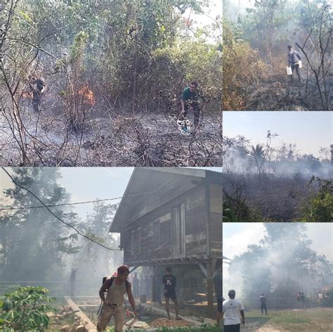 Kebakaran Hutan Hinggah Api Menjalar Ke Areal Pemukiman Warga Desa