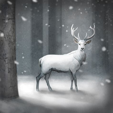 White Stag Behance