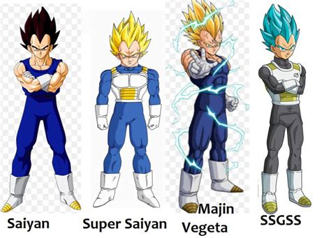 Vegeta Transformations Dragon Ball Z Dragon Ball Dragon Ball Super