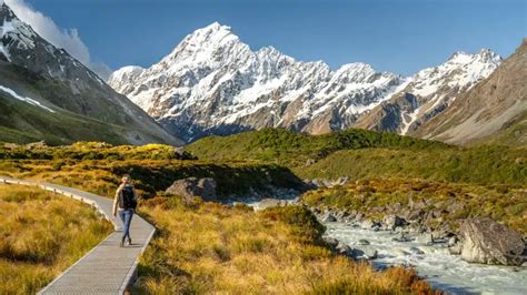 MAROKOPA FALLS New Zealand A Stunning Must See Waterfall