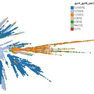 Minimum Spanning Tree Comparing Core Genome Allelic Profiles In