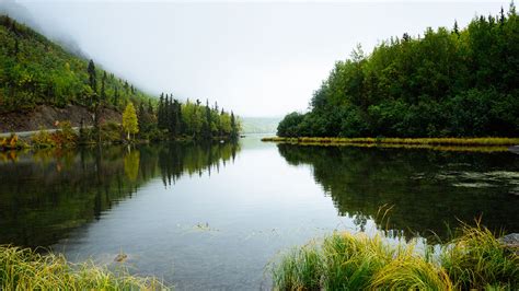 Canada Ecosystems