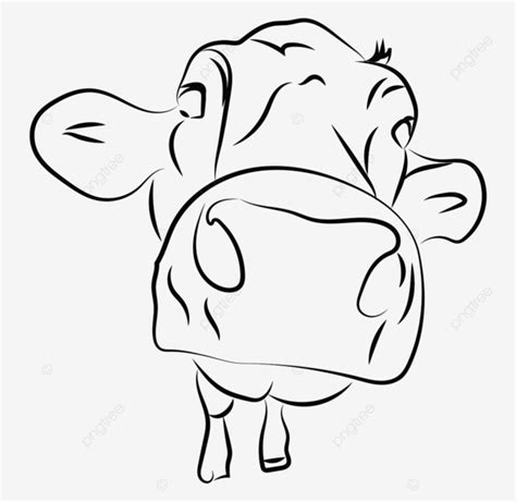 Gambar Sketsa Kepala Sapi Mamalia Hewan Di Putih Banteng Png Dan