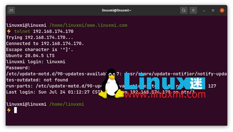 如何在 Linux 系统上安装和使用 Telnet Linux迷