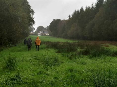 En Bretagne Sous La Pluie Les Phryganes