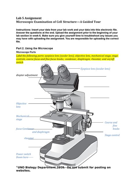 Lab 5 Assignment Dr Matt Northam Lab 5 Assignment Microscopic Examination Of Cell Structure