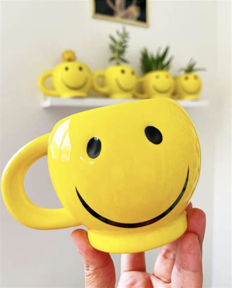 Smiley Face Succulent Mugs Goodwill Akron