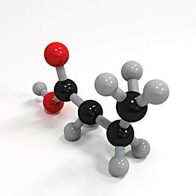 3d butanoic acid