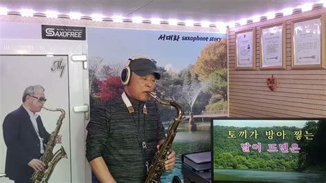 여식의 눈물 모정애 Tenor Saxophone 서대화 Youtube