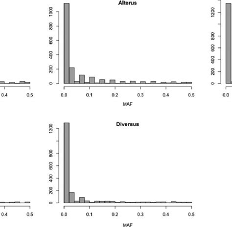 Distribution Plots Of The Snp Minor Allele Frequency Maf Distribution