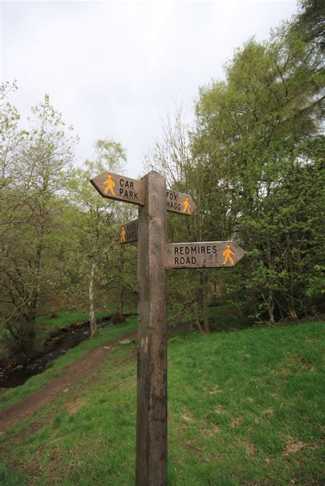 Wyming Brook Nature Reserve Woodland Trust