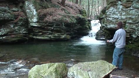 GORGEOUS Wild Brook Trout Filled Hole In Northern PA YouTube