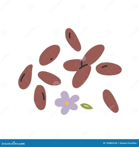 Flax Seeds Isolated On White Background Vector Color Illustration In