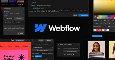 Webflow Support Webflow