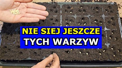 Nie Siej Jeszcze Tych Warzyw Za Wcze Nie Na Siewy Og Rk W Gruntowych