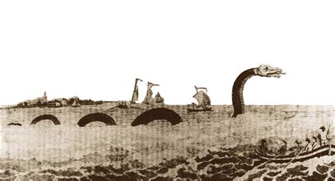 Gloucester Fun Fact The Infamous Sea Serpent Discover Gloucester