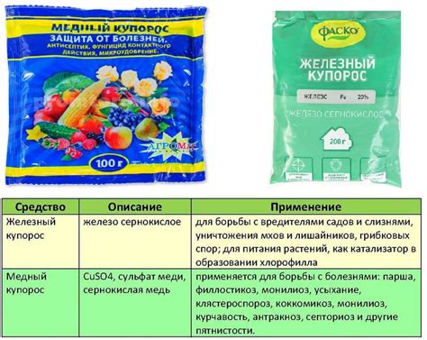 Препараты и средства для обработки смородины от ржавчины